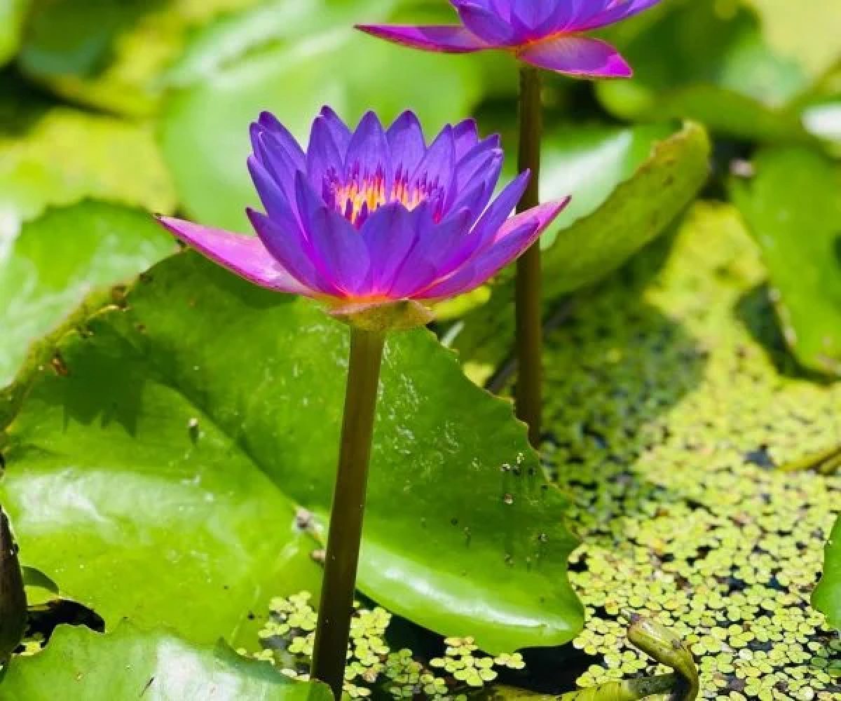 WhatsApp Image 2025-10-13 at 17.33.49_96d34c71